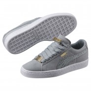 Puma Suede Classic Shoes Boys Grey 065UWKYS